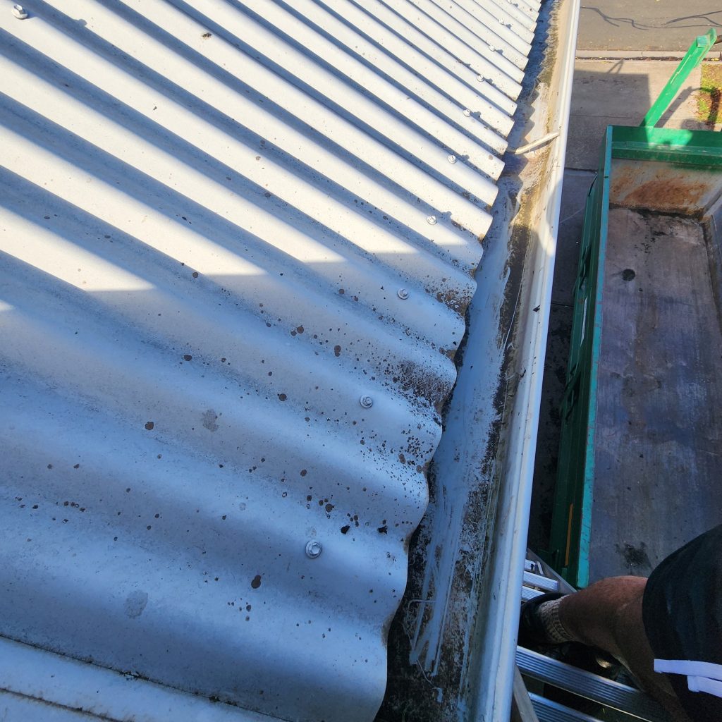 After: gutter and exterior cleaning