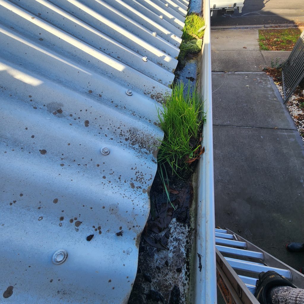 Before: gutter and exterior cleaning