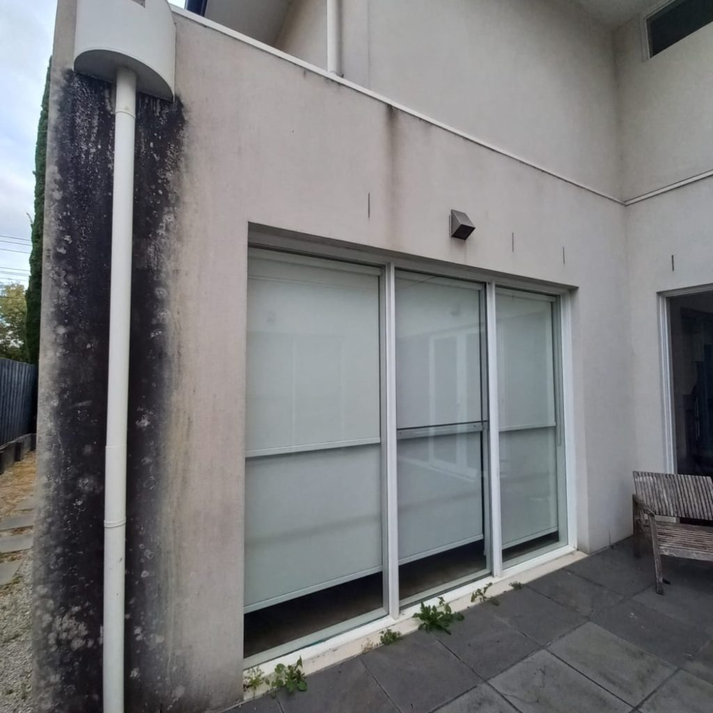 Before: gutter and exterior cleaning